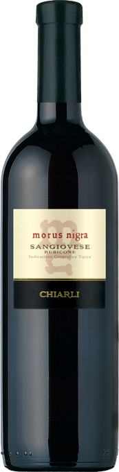 "Morus Nigra" "Morus Nigra"