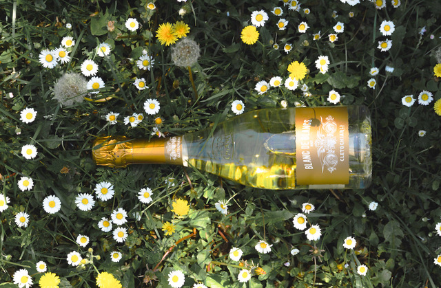 Pignoletto, an extra touch for a grand sparkling wine. Cleto Chiarli Blanc de Blancs is summer elegance